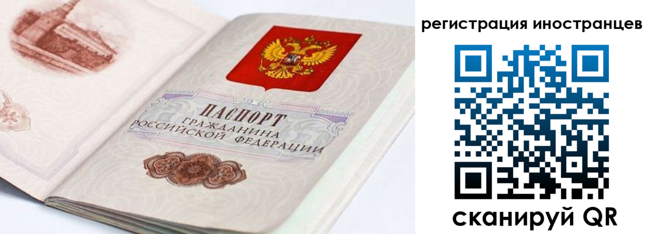 форма 3 в Светлогорске