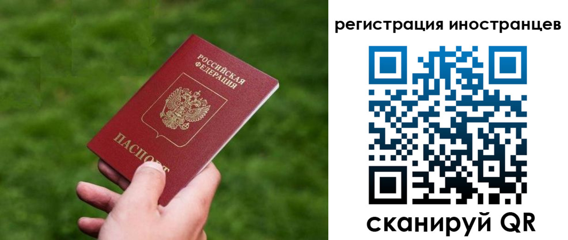 прописка ребенка в Светлогорске